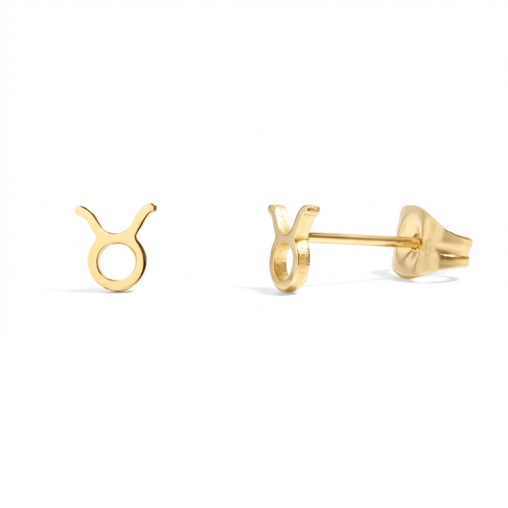 Zodiac Stud Earrings - Pair - 316L Stainless Steel