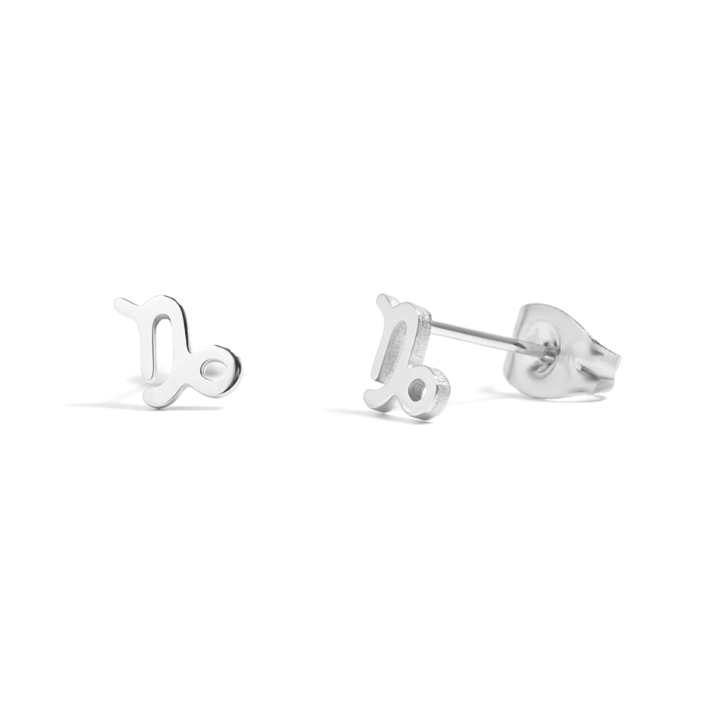 Zodiac Stud Earrings - Pair - 316L Stainless Steel