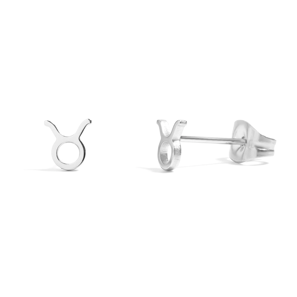Zodiac Stud Earrings - Pair - 316L Stainless Steel