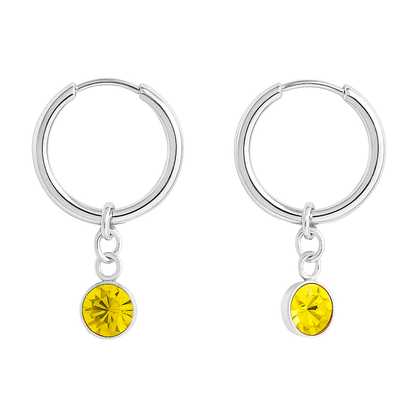 CZ Crystal Birthstone Dangling Huggie Hoop Earrings - Pair - 316L Stainless Steel