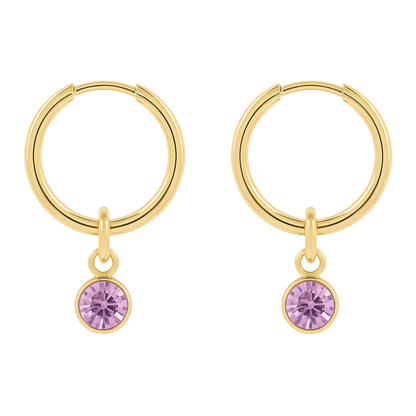 CZ Crystal Birthstone Dangling Huggie Hoop Earrings - Pair - 316L Stainless Steel