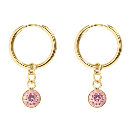 CZ Crystal Birthstone Dangling Huggie Hoop Earrings - Pair - 316L Stainless Steel