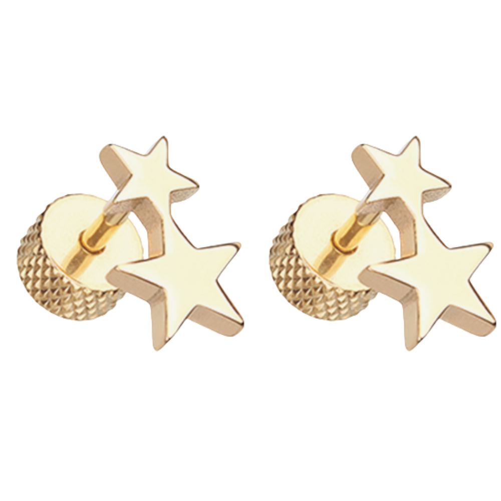 Double Star Fake Plugs - Pair - 316L Stainless Steel