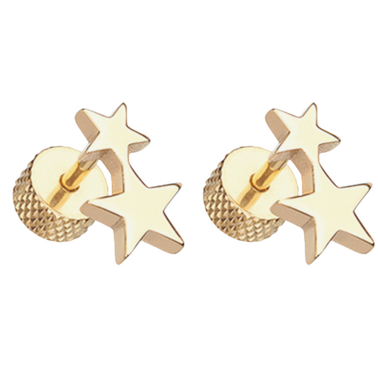 Double Star Fake Plugs - Pair - 316L Stainless Steel