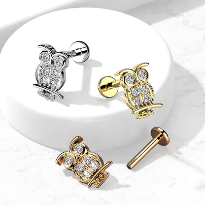 CZ Crystal Paved Owl Internally Threaded Stud - 316L Stainless Steel