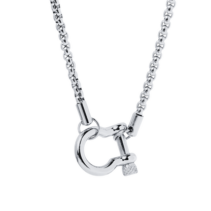 Horseshoe Carabiner Chain Necklace - Stainless Steel
