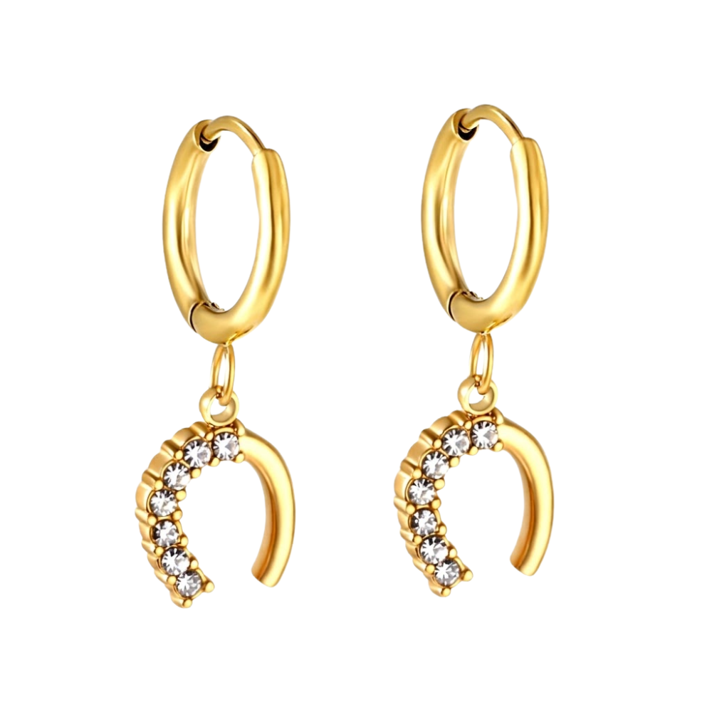 Crystal Horseshoe Dangling Huggie Hoop Earrings - Pair - 304 Stainless Steel