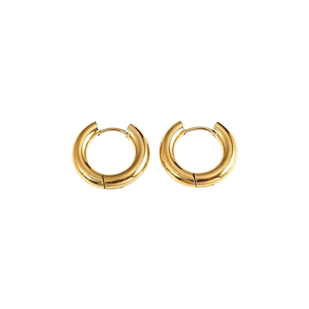 3mm Thick Hinged Hoop Earrings - Pair - Titanium Steel