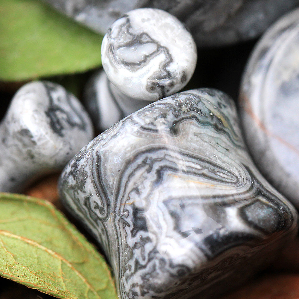 Grey Wave Jasper Natural Stone Saddle Plugs - Pair