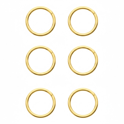 Set of 6 Basic Hinged Segment Clicker Rings - ASTM F-136 Implant Grade Titanium