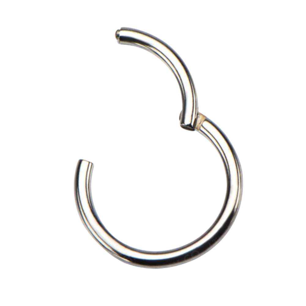Set of 6 Basic Hinged Segment Clicker Rings - ASTM F-136 Implant Grade Titanium