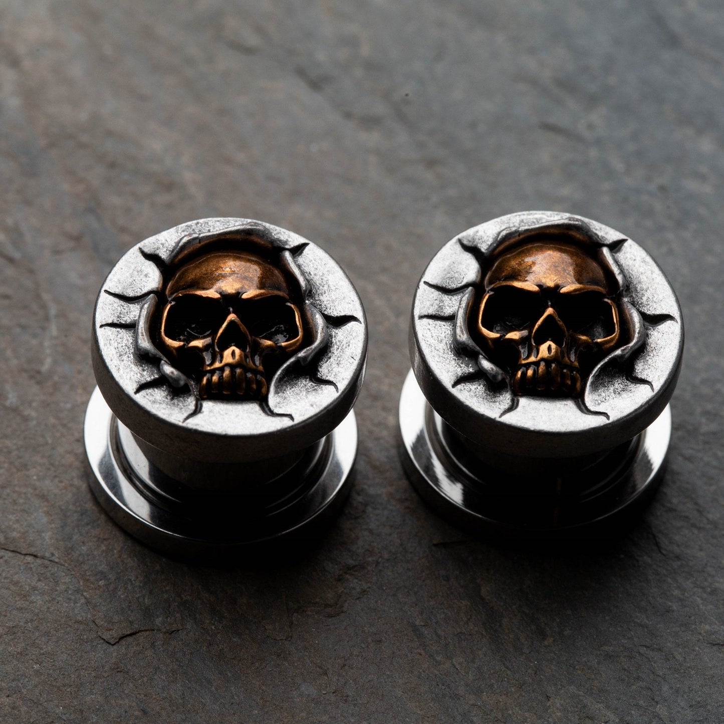 Protruding Bronze Skull Screw Fit Plugs - 316L Stainless Steel - Pair