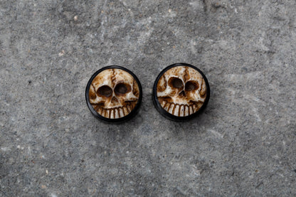 3D Skull Hand Carved Organic Buffalo Horn Double Flared Plugs