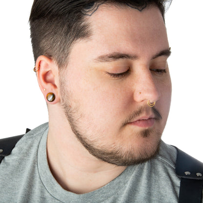 Semi Precious Tiger Eye Domed Single Flare Plugs with O-Ring