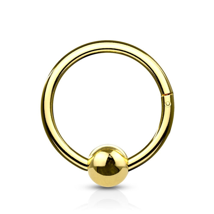 Faux Captive Bead Ring Hinged Segment Ring - 316L Stainless Steel ...