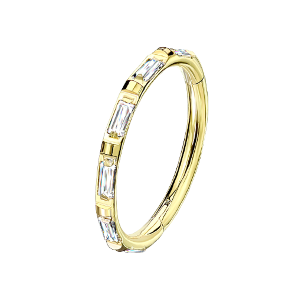 Rectangular Baguette CZ Crystal Lined Hinged Segment Ring - G23 Implant Grade Titanium