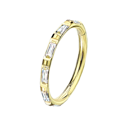 Rectangular Baguette CZ Crystal Lined Hinged Segment Ring - G23 Implant Grade Titanium