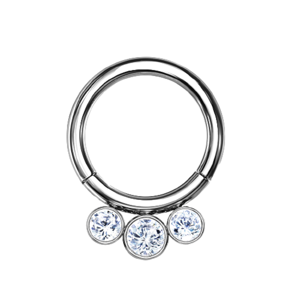 Triple Bezel Set Crystal Lined Hoop Hinged Segment Ring - G23 Implant Grade Titanium