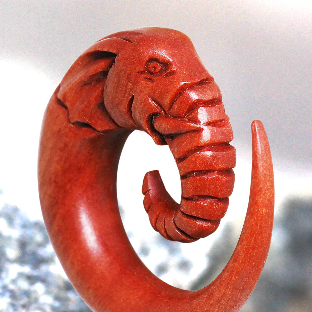 Hand Carved Organic Sawo Wood Elephant Head Spiral Taper Plugs - Pair