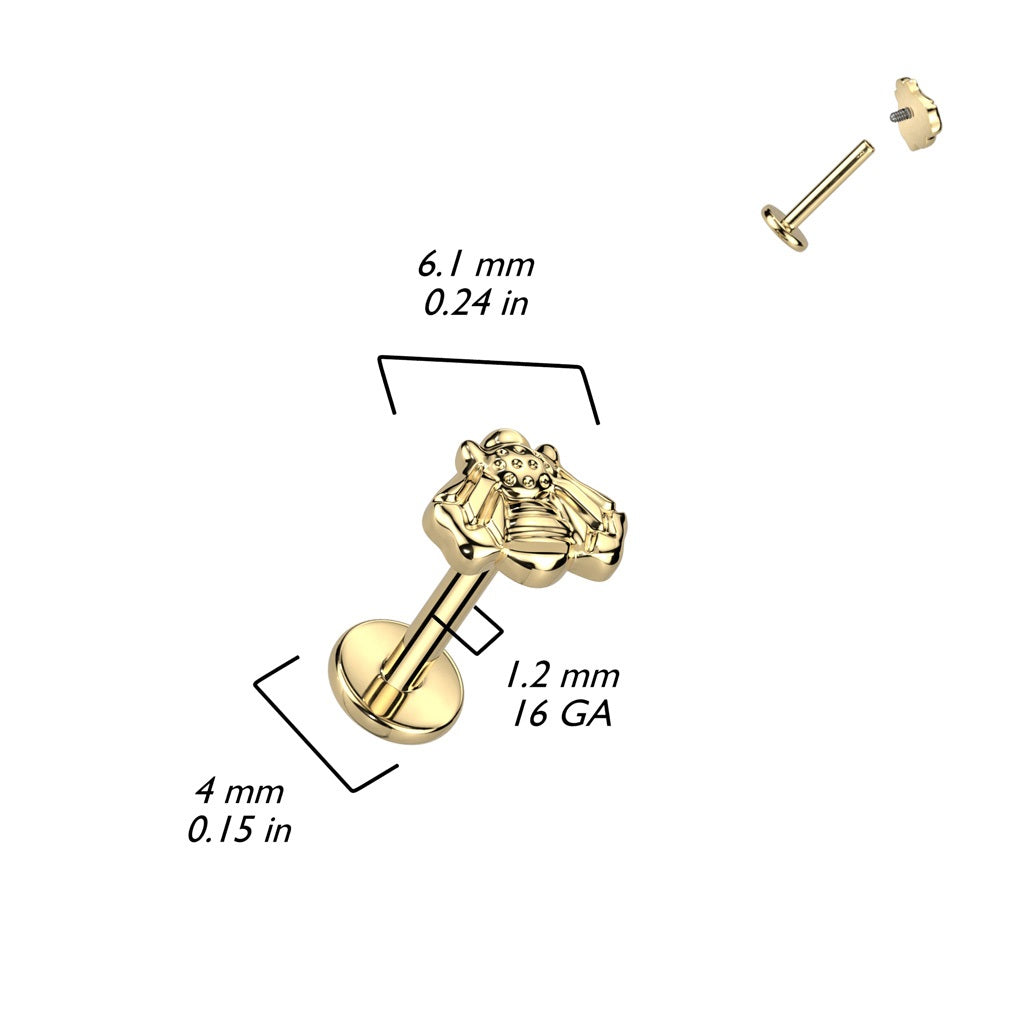 Internally Threaded Bee Top Flat Back Stud - F136 Implant Grade Titanium