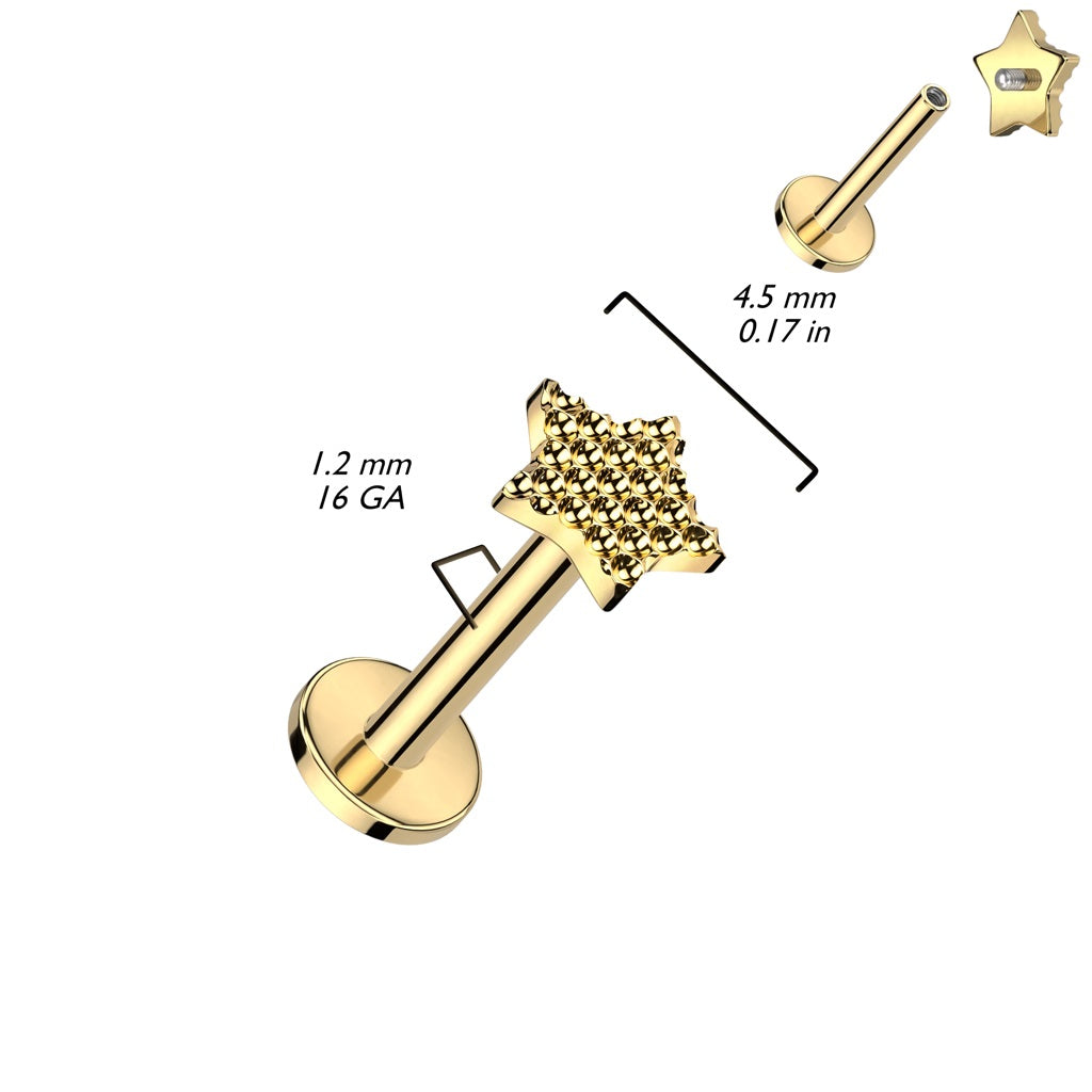 Internally Threaded Bumpy Star Top Flat Back Stud - ASTM F-136 Implant Grade Titanium