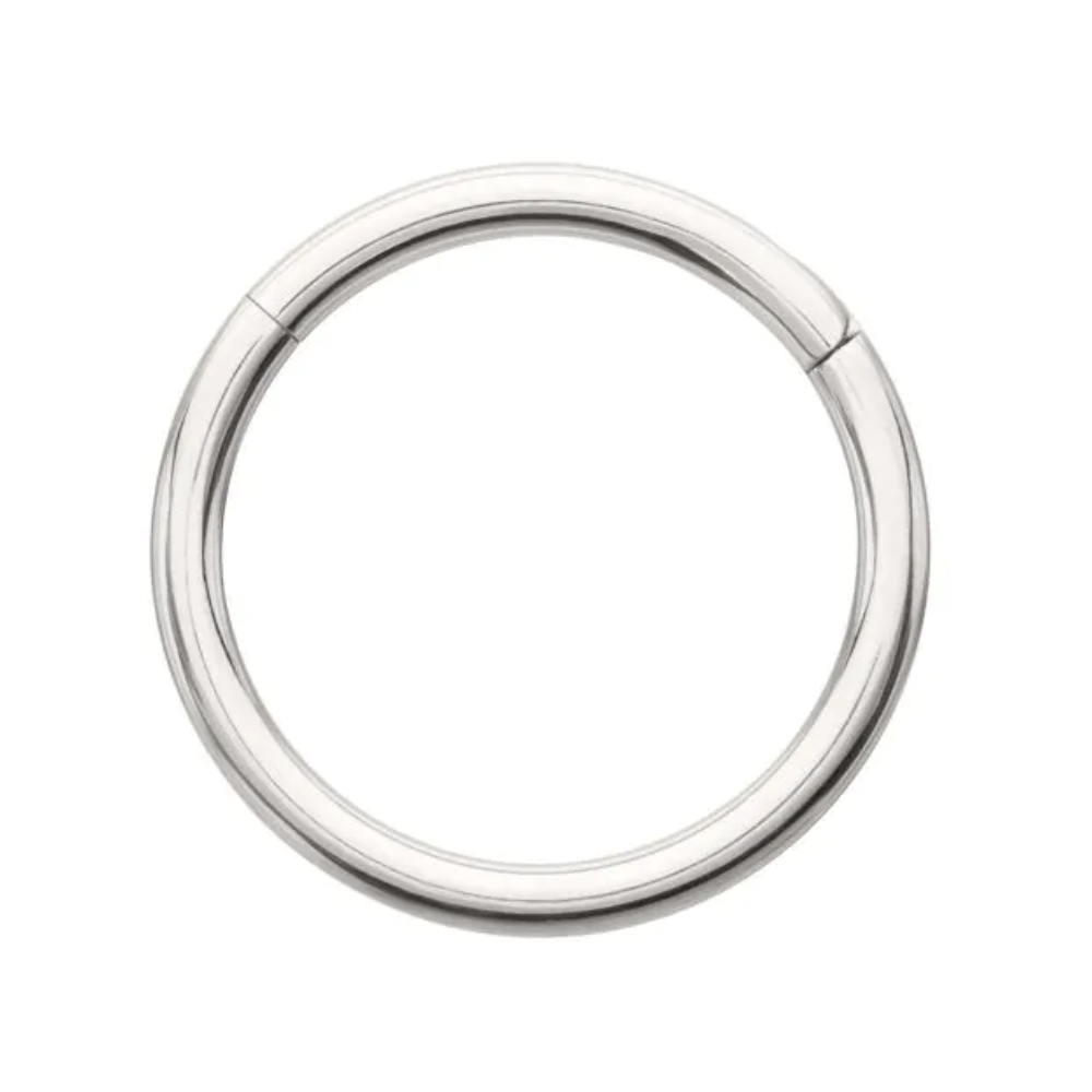 Basic Hinged Segment Clicker Ring - Platinum PVD ASTM F-136 Implant Grade Titanium