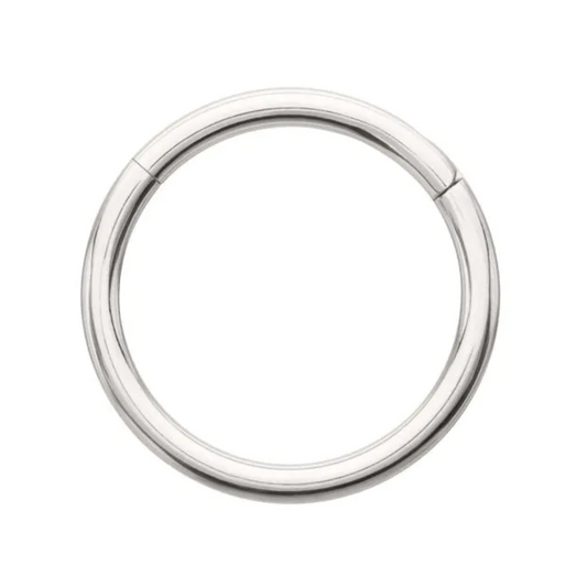 Basic Hinged Segment Clicker Ring - Platinum PVD ASTM F-136 Implant Grade Titanium