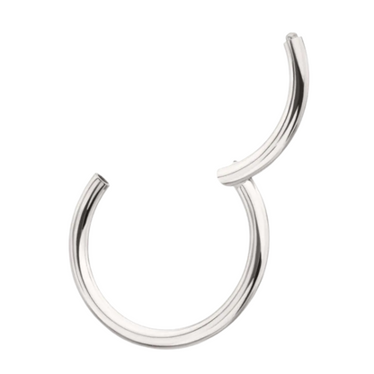 Basic Hinged Segment Clicker Ring - Platinum PVD ASTM F-136 Implant Grade Titanium