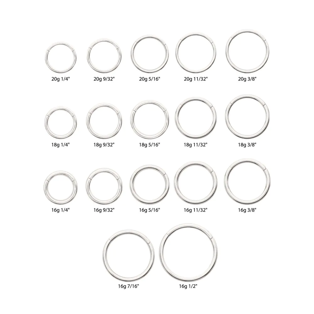 Basic Hinged Segment Clicker Ring - Platinum PVD ASTM F-136 Implant Grade Titanium