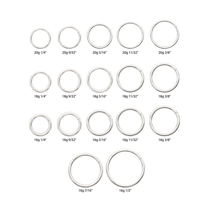 Basic Hinged Segment Clicker Ring - Platinum PVD ASTM F-136 Implant Grade Titanium