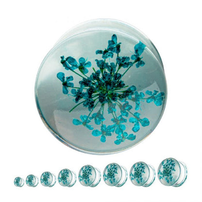 Dried Aqua Flowers in Acrylic Flesh Fit Plugs - Pair