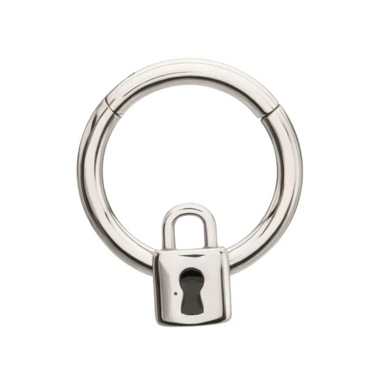 Lock Hinged Segment Clicker Ring - 316L Stainless Steel