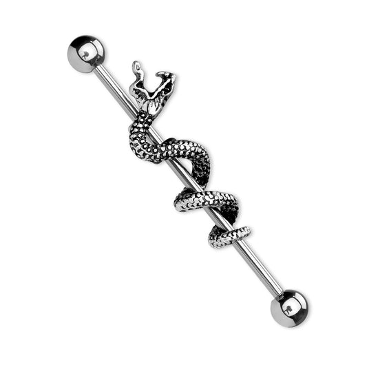 Snake Wrapped Industrial Barbell - Stainless Steel