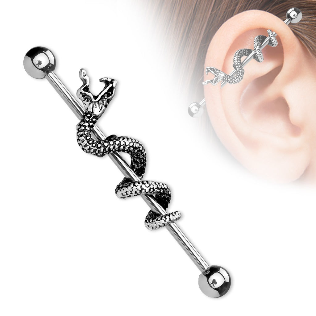 Snake Wrapped Industrial Barbell - Stainless Steel