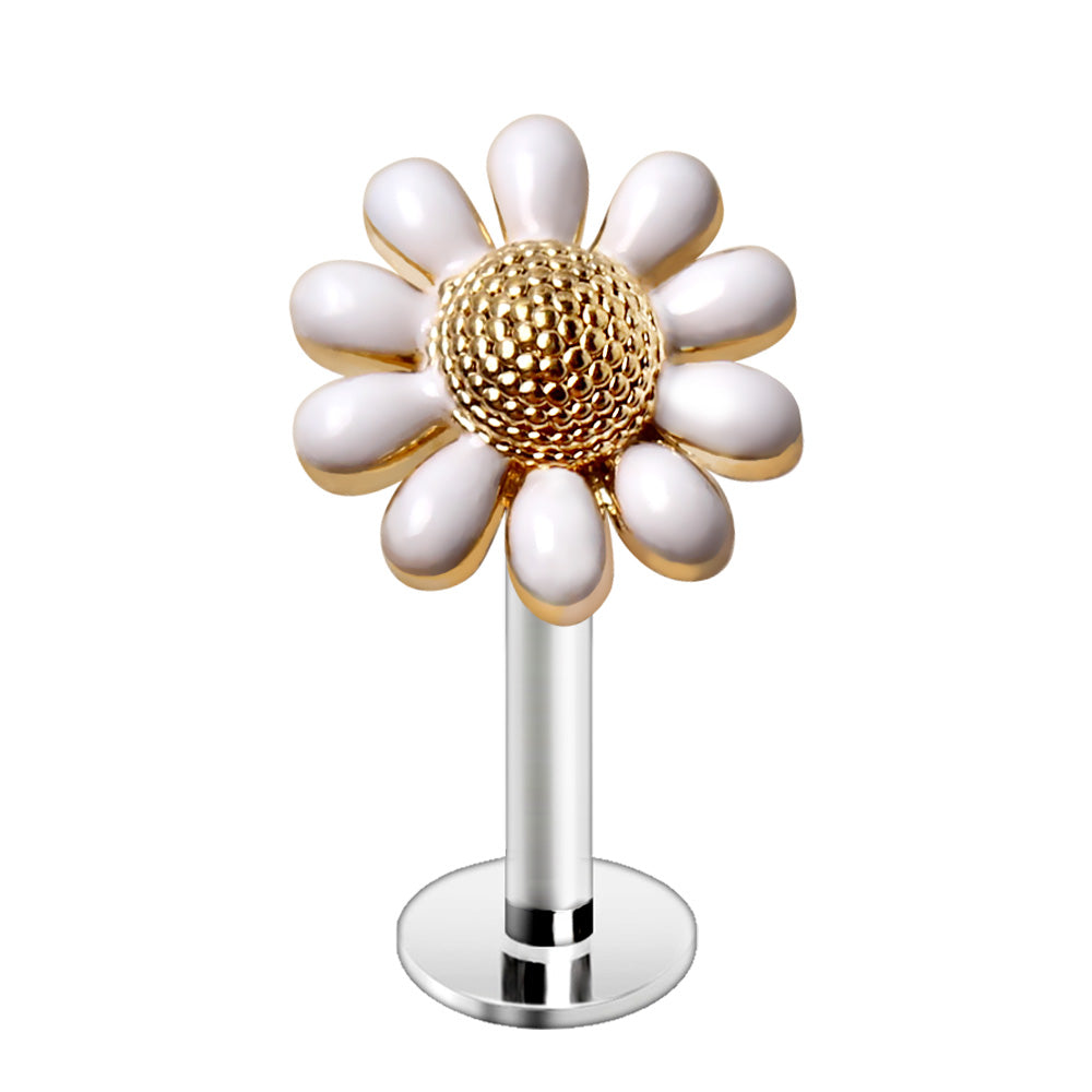 Golden Daisy with White Petals Flat Back Labret Stud - Stainless Steel