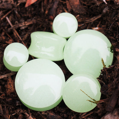 Natural Glow in the Dark Moonstone Saddle Plugs