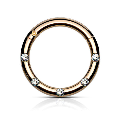 Multi CZ Crystal Lined 8mm Diameter Hinged Segment Ring  - 316L Stainless Steel