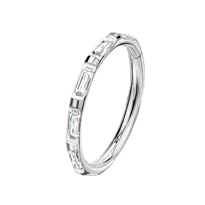 Rectangular Baguette CZ Crystal Lined Hinged Segment Ring - G23 Implant Grade Titanium