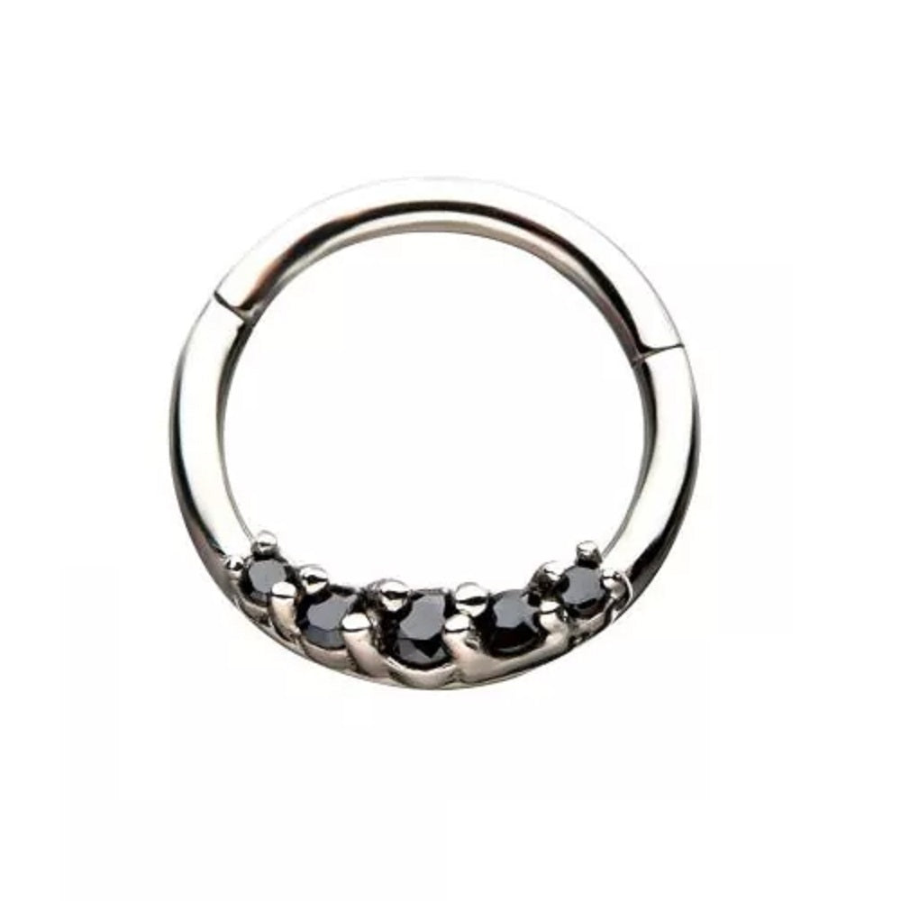 5/16" Prong Set Five Crystal Gem Hinged Segment Ring - Stainless Steel