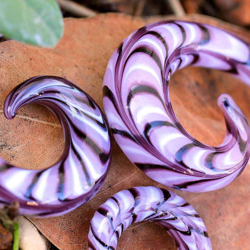 Purple Swirl Spiral Taper Plugs